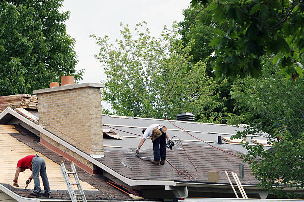 Best Shingle Roofing Installation  in Nome, AK